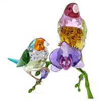 Cristalleria Swarovski in Cristallo 5670031 - 5670031